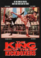 Король кикбоксеров смотреть онлайн (1990)
